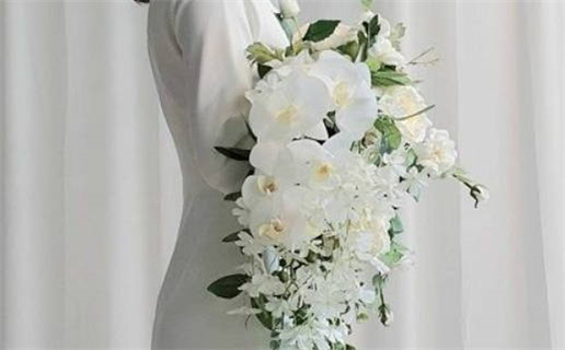 属鼠的结婚最佳配对_属鼠的结婚最佳配对是什么