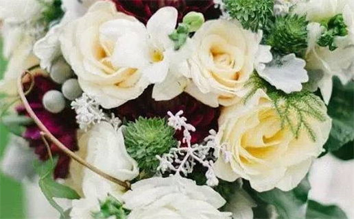 生肖阳与生肖鼠是否相冲解析与解答