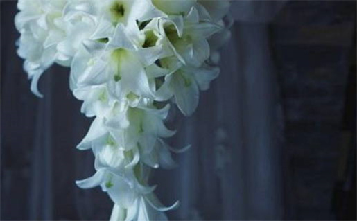 射手座女生撒娇能力揭秘让你意想不到