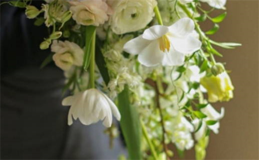 属鼠女与属兔男婚配解析与建议