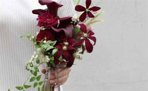 深入解析紫微斗数主星查询的奥秘与应用