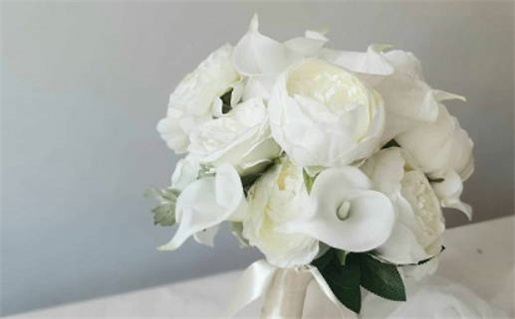 2021年属鼠学生升学指南助你轻松迈入理想学府