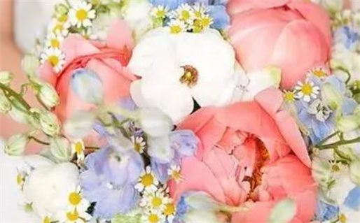 男白羊座与女双子座的完美配对分析