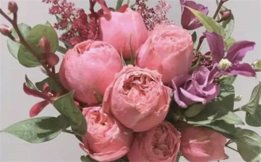 偏财格命局的命运解析与运势提升技巧