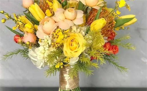 甲木命的意义与特征解析详解