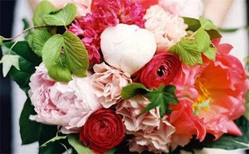 2019生肖鼠男每月运势(2019生肖鼠男每月运势怎么样)