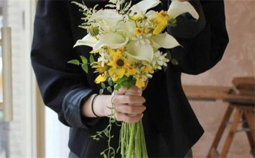 双子座流星雨是真正的流星雨之最吗