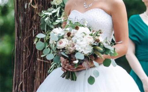 专印禄格的人命运解析与人生特征揭秘