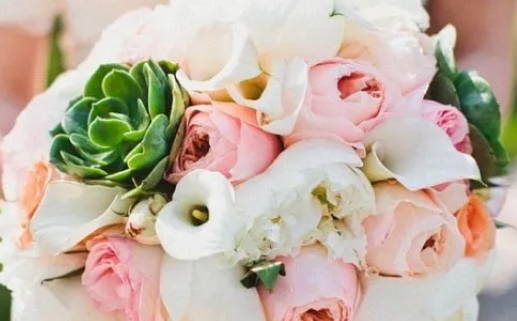 双子座是很优秀的星座吗_双子座是很优秀的星座吗女生