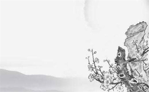 属鼠女生能养猫吗揭秘猫咪与生肖的完美契合