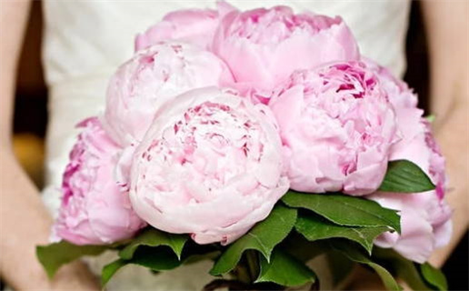 2026年02月04日老黄历适合办婚礼吗