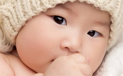 林姓女孩起名指南：诗意唯美名字大全(350个)