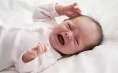 2026年02月25日农历二〇二六年正月初九出生的杨姓女宝宝取名全攻略